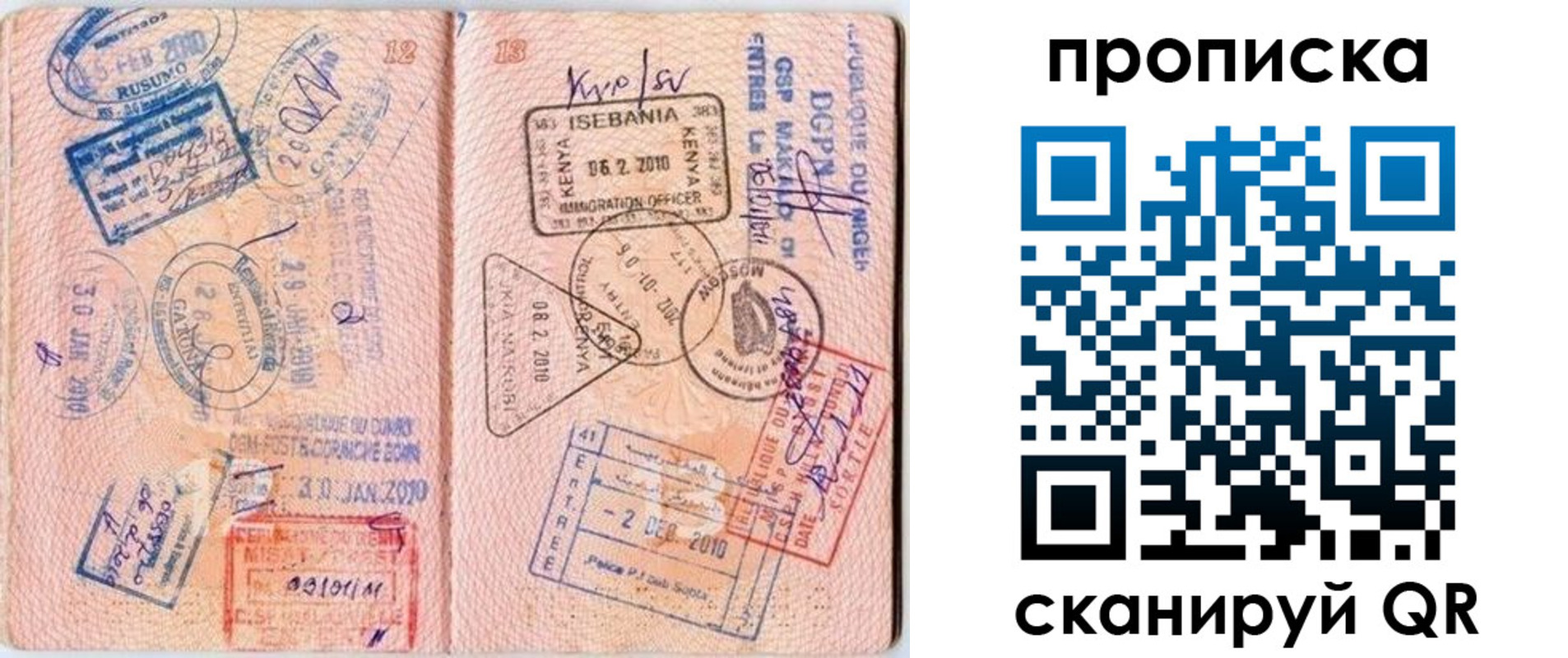 прописка для школы в Новом Осколе
